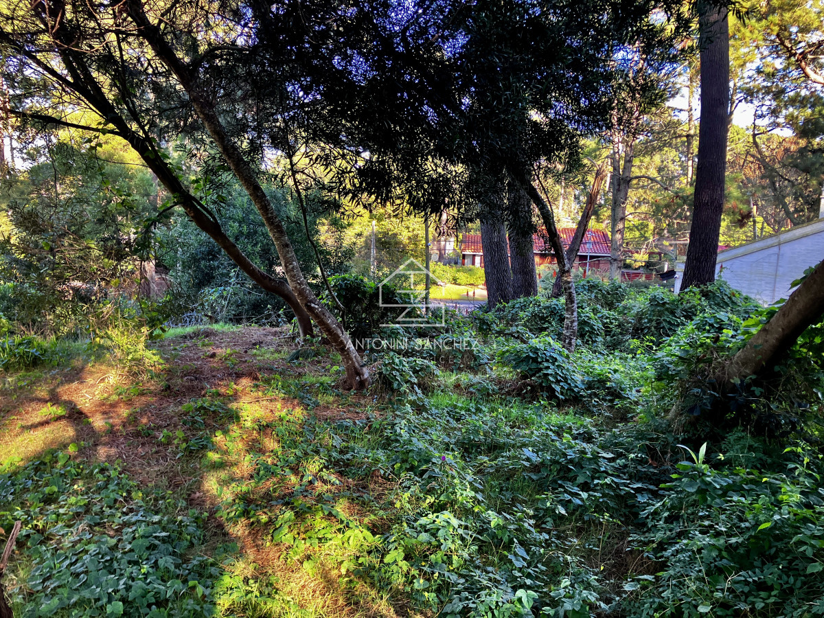 Terreno ID.2926 - Lindo lote en venta en Pinares apto para Propiedad Horizontal