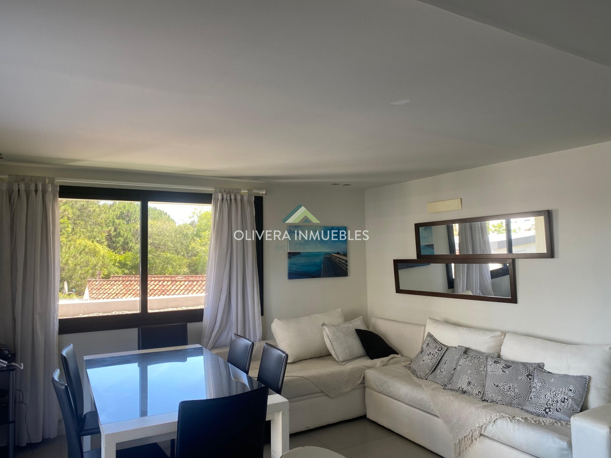 Apartamento ID.10935 - Apartamento en Brava 1 dormitorio con terraza