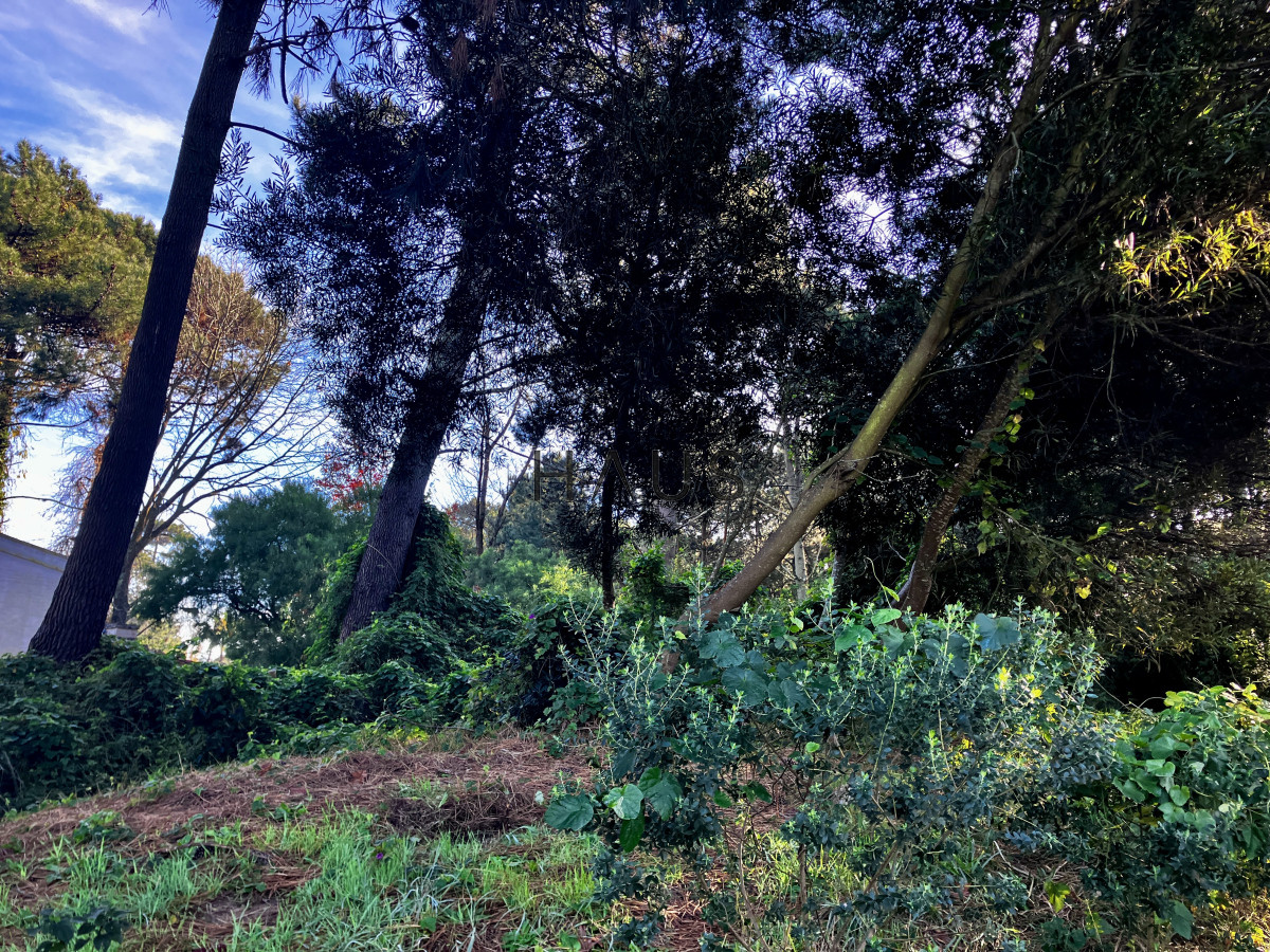 Terreno ID.218 - Lindo lote en venta en Pinares.
