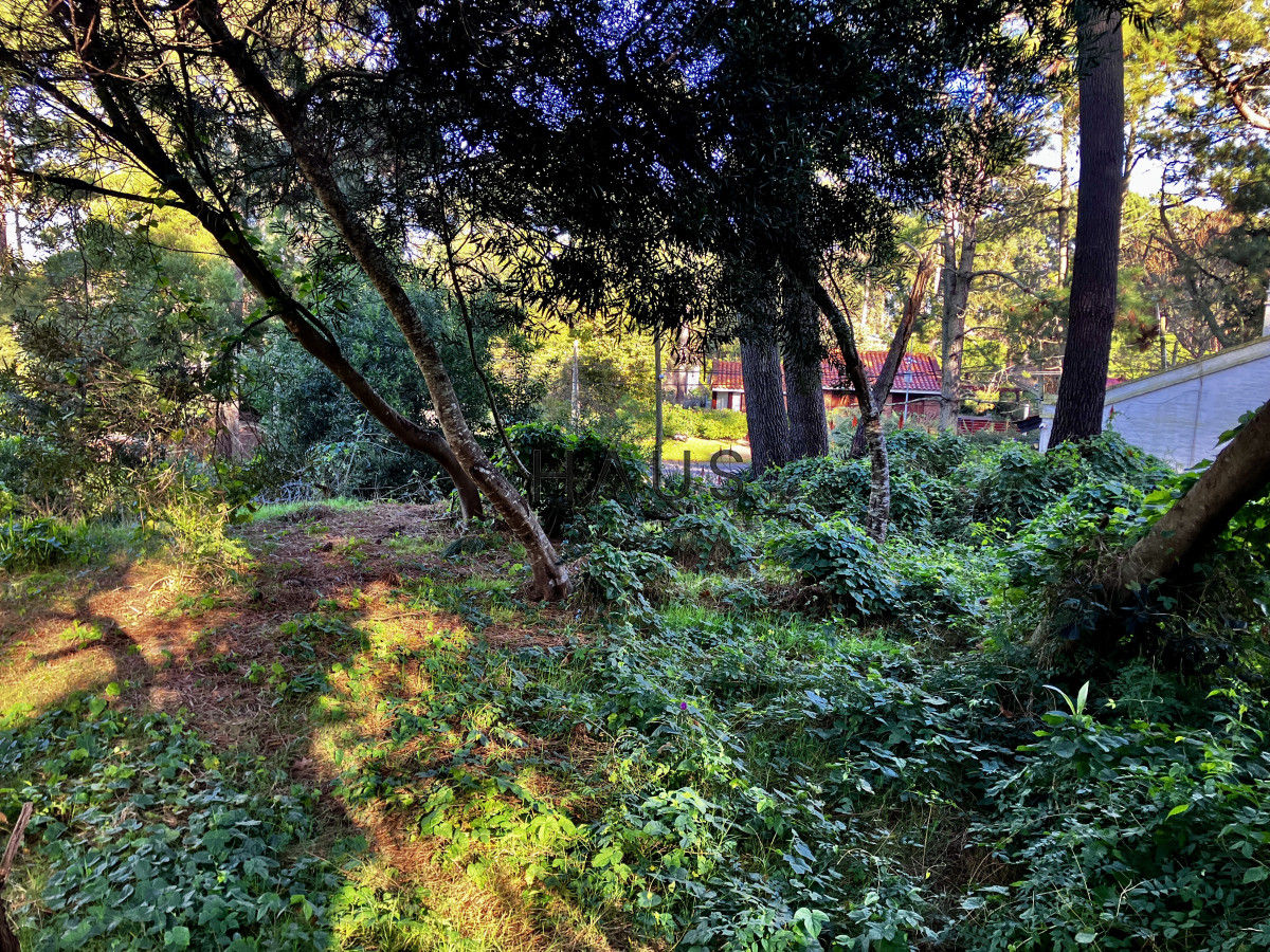 Terreno ID.218 - Lindo lote en venta en Pinares.