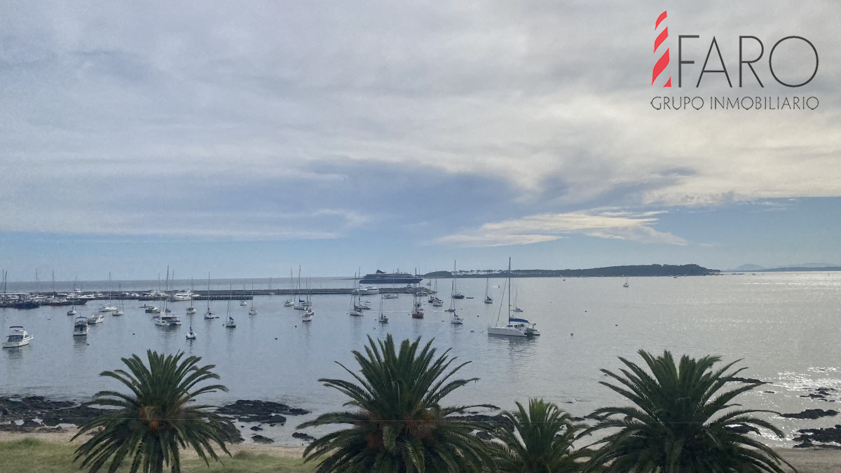 Puerto - GoPunta - Portal Inmobiliario de Punta del Este - Maldonado