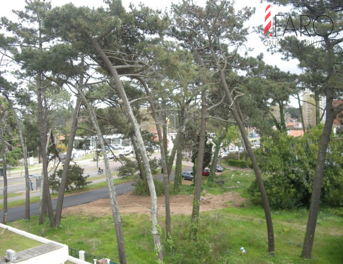 Roosevelt - GoPunta - Portal Inmobiliario de Punta del Este - Maldonado