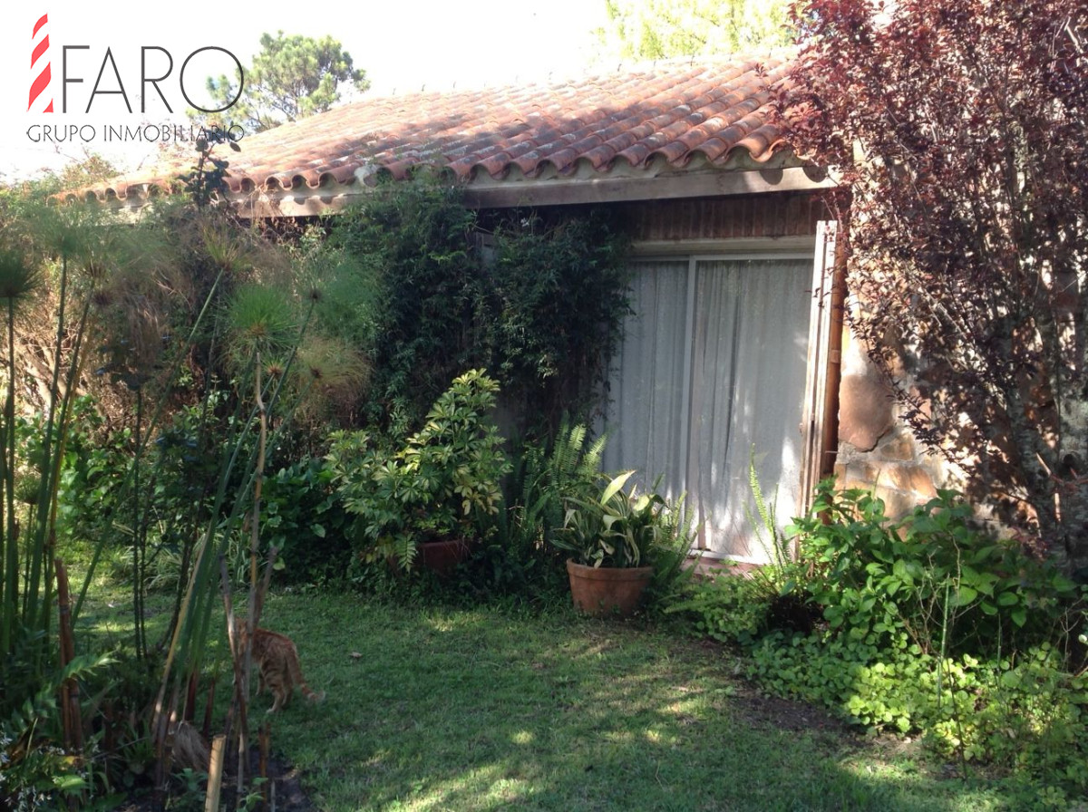 Maldonado - GoPunta - Portal Inmobiliario de Punta del Este - Maldonado