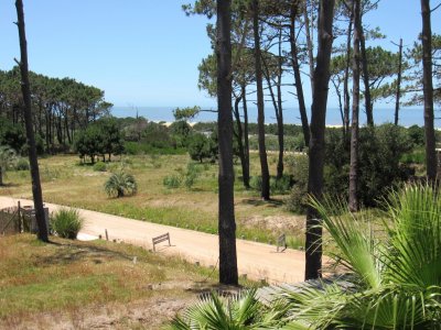 Casa en Venta y alquiler en Pinar del Faro.