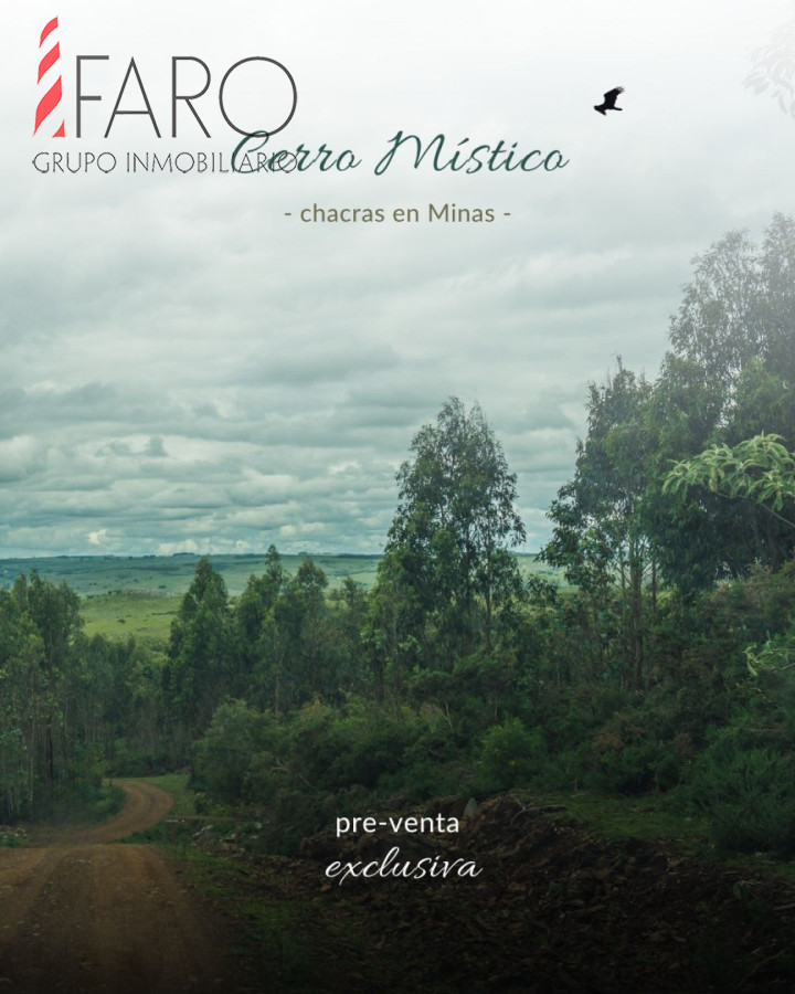 CHACRAS DE 5 HAS  - FAR43354H