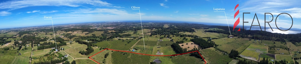 La Pataia - GoPunta - Portal Inmobiliario de Punta del Este - Maldonado