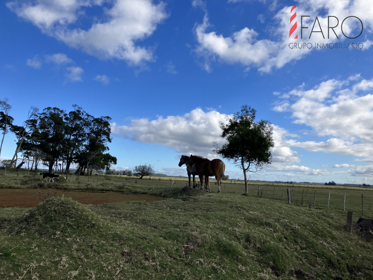Las Garzas - GoPunta - Portal Inmobiliario de Punta del Este - Maldonado