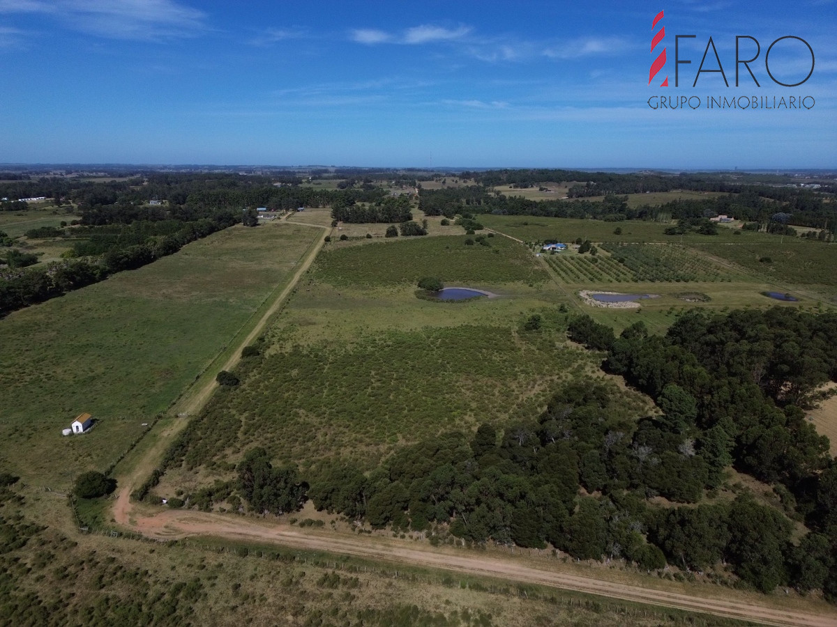 La Pataia - GoPunta - Portal Inmobiliario de Punta del Este - Maldonado