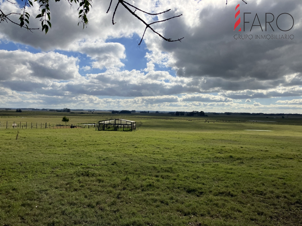 Las Garzas - GoPunta - Portal Inmobiliario de Punta del Este - Maldonado