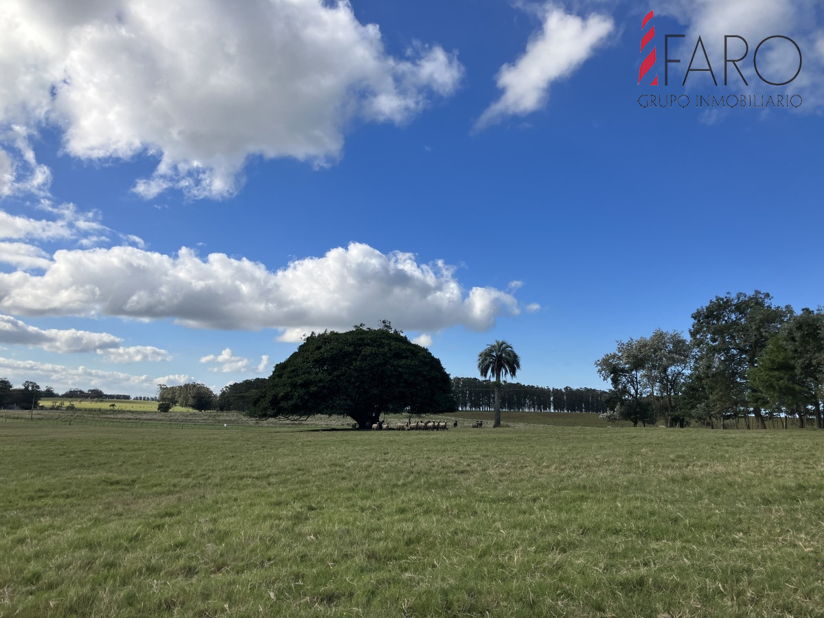 Las Garzas - GoPunta - Portal Inmobiliario de Punta del Este - Maldonado