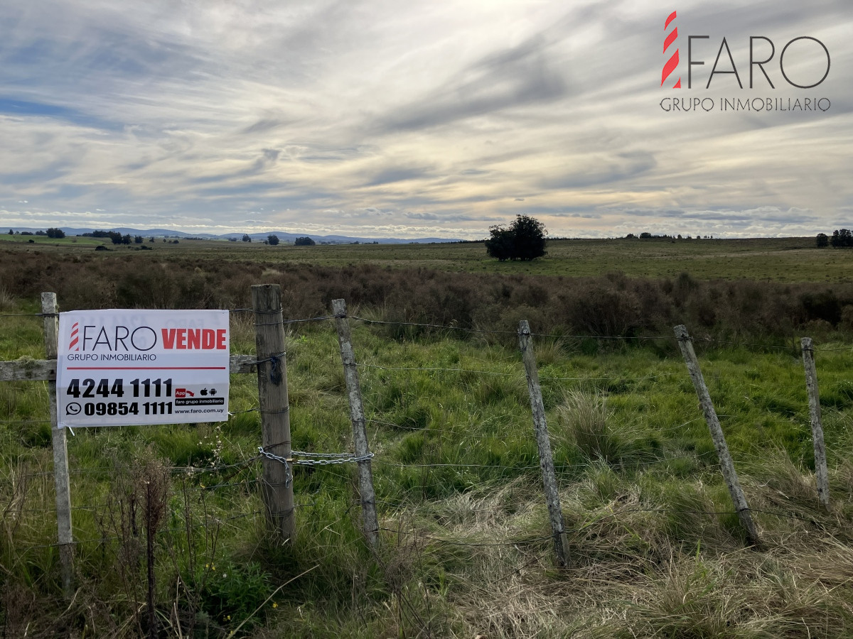 Chacra en venta 6 hectareas sobre Paraje Carlos Cal. - GoPunta - Portal Inmobiliario de Punta del Este - Maldonado