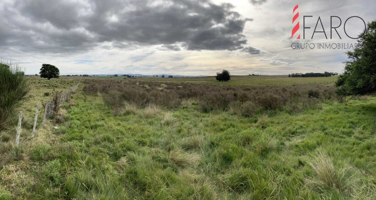 Chacra en venta 6 hectareas sobre Paraje Carlos Cal. - GoPunta - Portal Inmobiliario de Punta del Este - Maldonado
