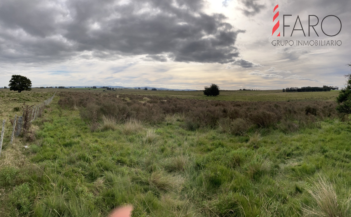 Chacra en venta 6 hectareas sobre Paraje Carlos Cal. - GoPunta - Portal Inmobiliario de Punta del Este - Maldonado