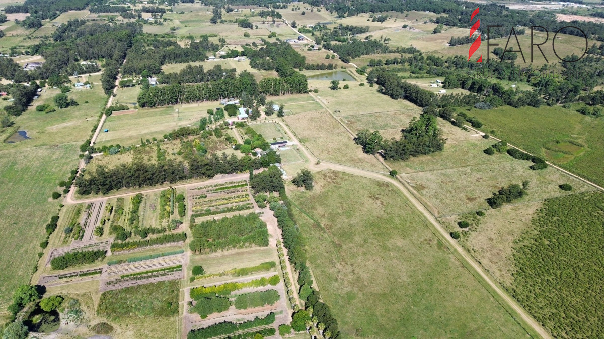 La Pataia - GoPunta - Portal Inmobiliario de Punta del Este - Maldonado