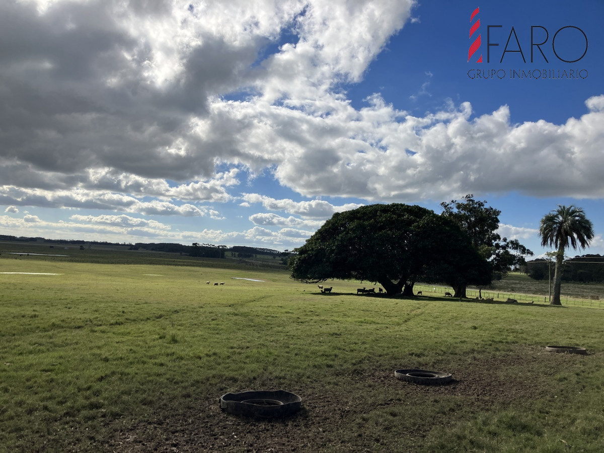 Las Garzas - GoPunta - Portal Inmobiliario de Punta del Este - Maldonado