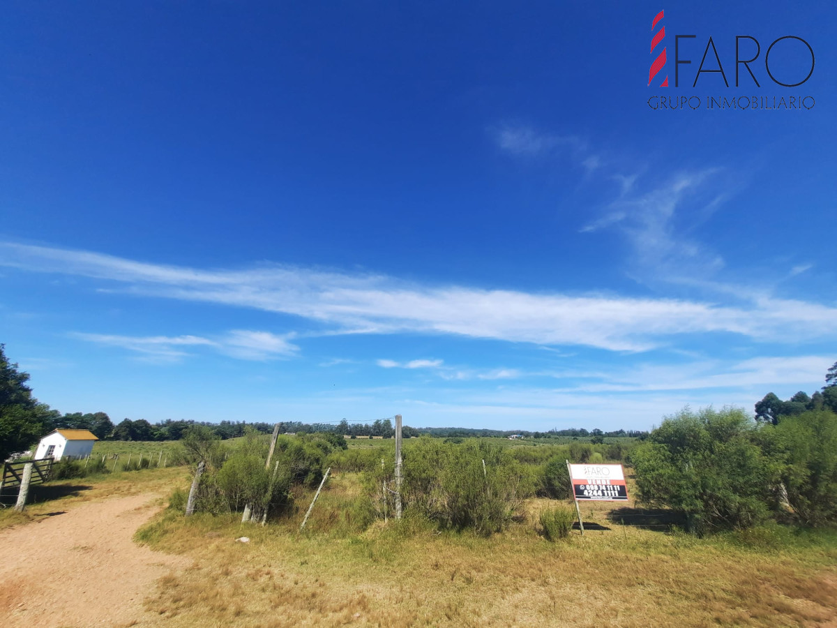 La Pataia - GoPunta - Portal Inmobiliario de Punta del Este - Maldonado