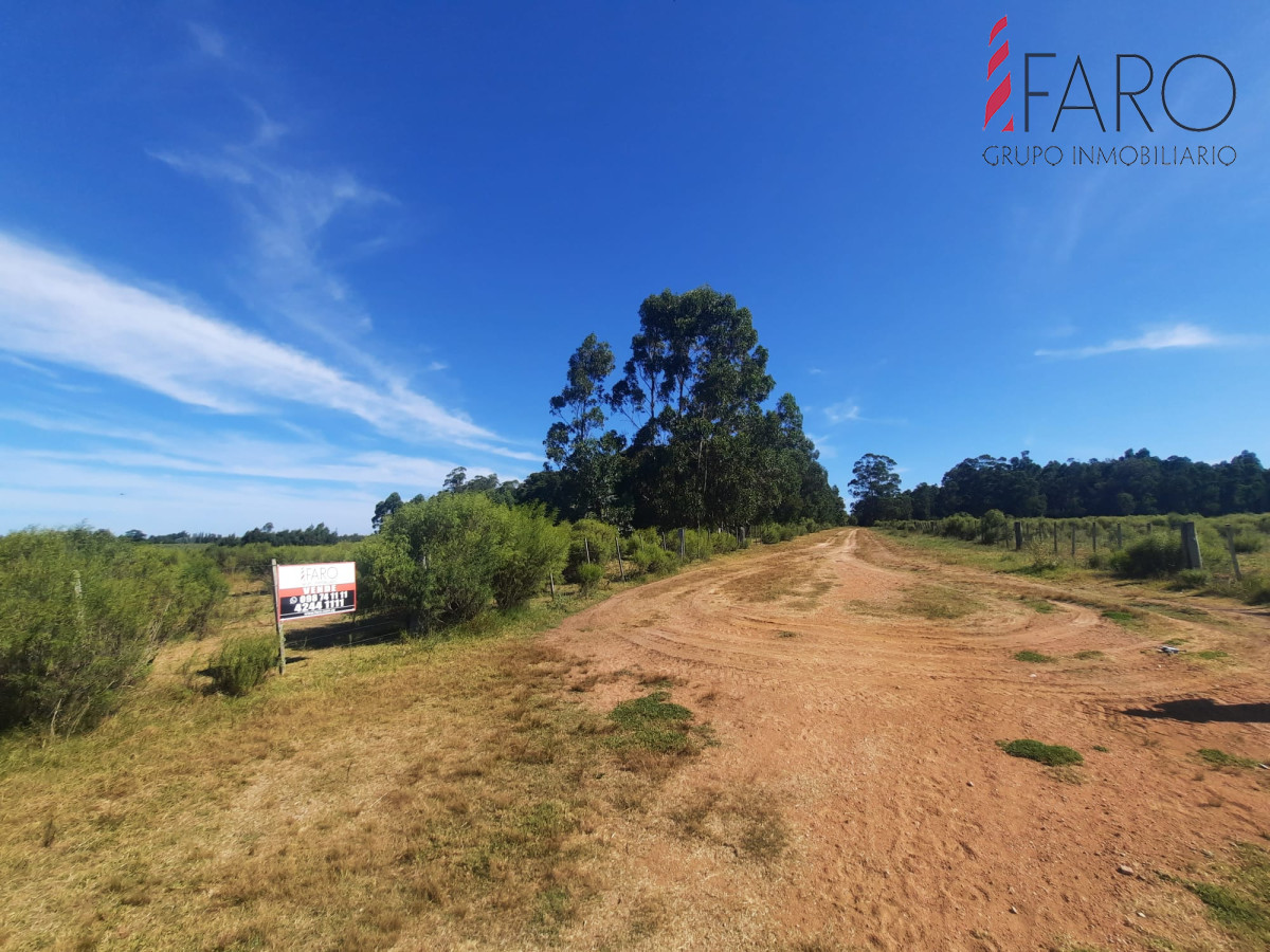 La Pataia - GoPunta - Portal Inmobiliario de Punta del Este - Maldonado