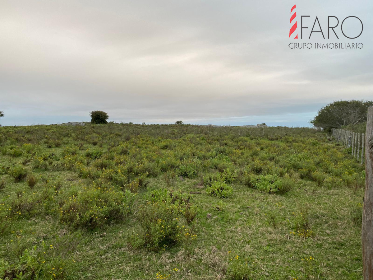 Sierra de los Caracoles - GoPunta - Portal Inmobiliario de Punta del Este - Maldonado