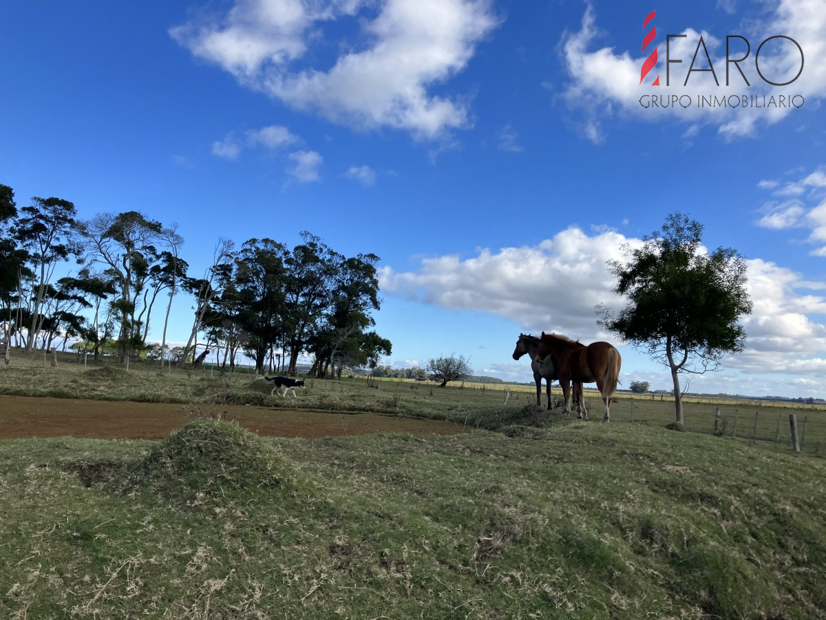 Las Garzas - GoPunta - Portal Inmobiliario de Punta del Este - Maldonado