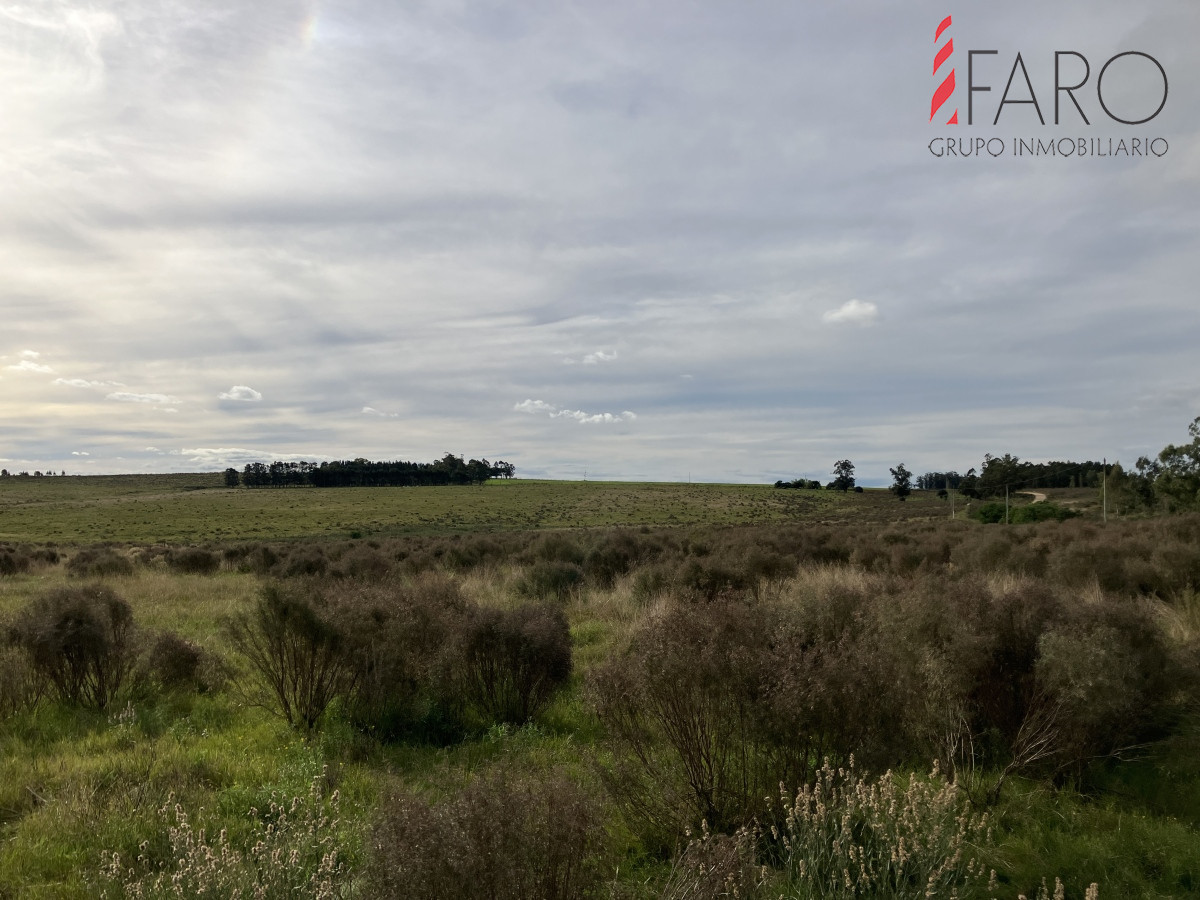 Chacra en venta 6 hectareas sobre Paraje Carlos Cal. - GoPunta - Portal Inmobiliario de Punta del Este - Maldonado