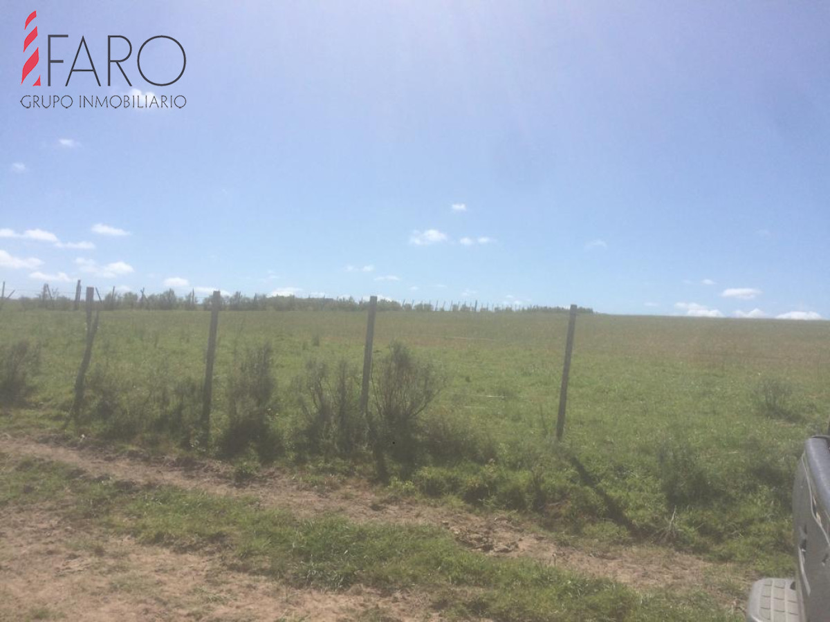 Ruta 9 - GoPunta - Portal Inmobiliario de Punta del Este - Maldonado