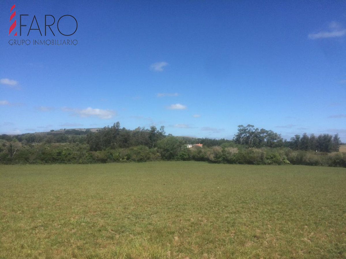 Ruta 9 - GoPunta - Portal Inmobiliario de Punta del Este - Maldonado
