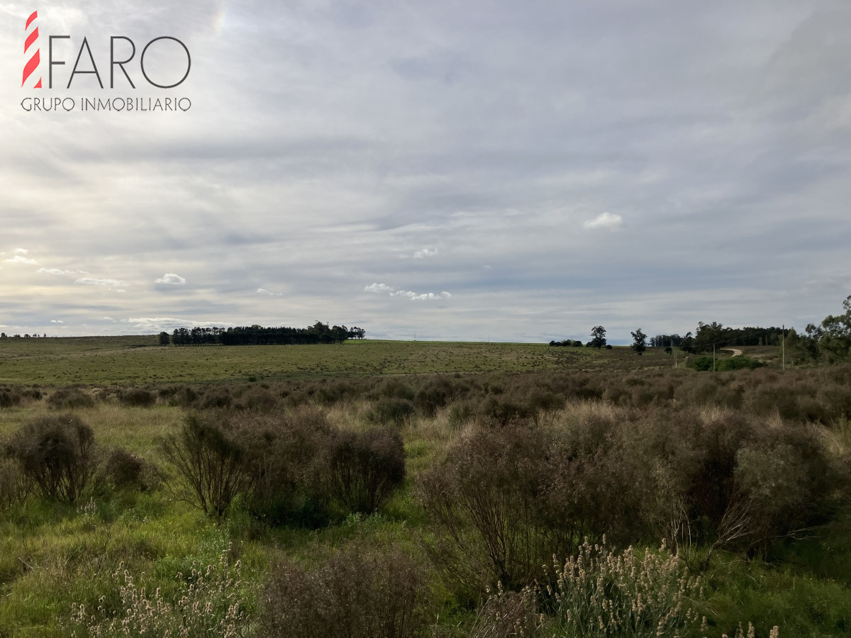 Chacra en venta 3 hectareas. - GoPunta - Portal Inmobiliario de Punta del Este - Maldonado