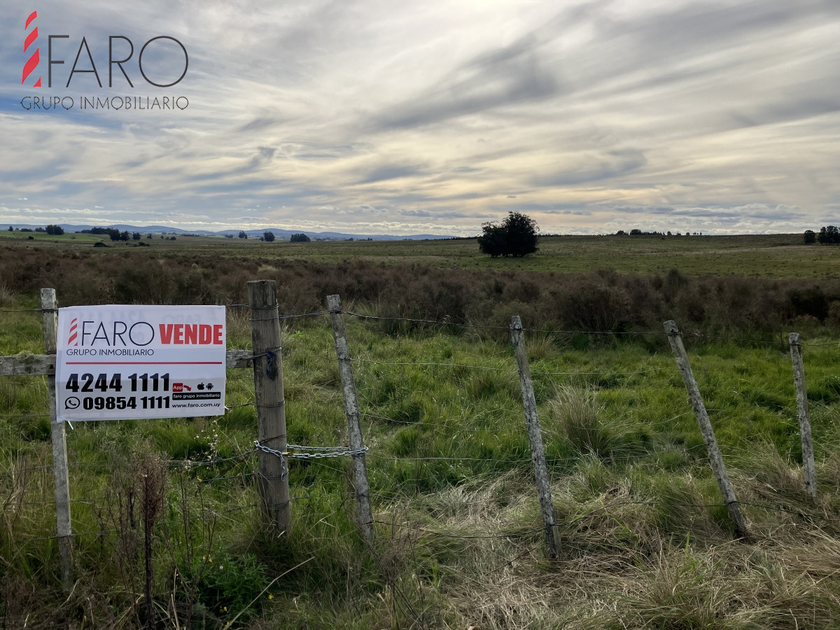 Chacra en venta 6 hectareas sobre Paraje Carlos Cal. - GoPunta - Portal Inmobiliario de Punta del Este - Maldonado