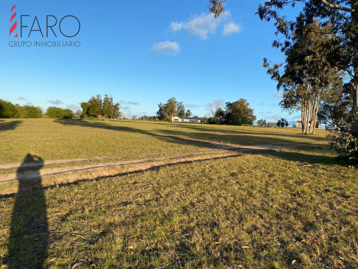 San Carlos - GoPunta - Portal Inmobiliario de Punta del Este - Maldonado