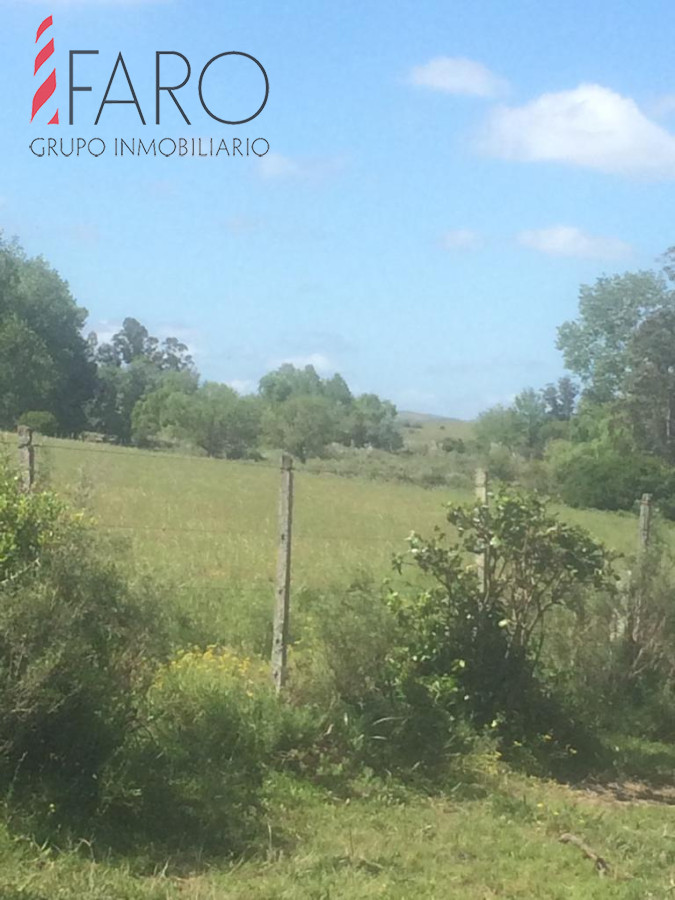 Ruta 9 - GoPunta - Portal Inmobiliario de Punta del Este - Maldonado