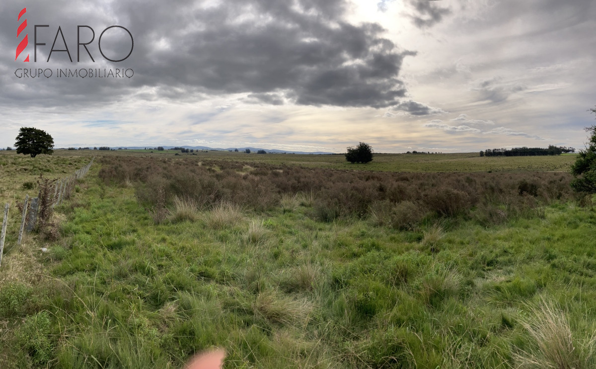 Chacra en venta 6 hectareas sobre Paraje Carlos Cal. - GoPunta - Portal Inmobiliario de Punta del Este - Maldonado
