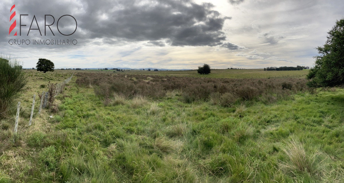 Chacra en venta 3 hectareas. - GoPunta - Portal Inmobiliario de Punta del Este - Maldonado