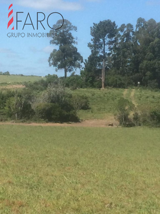 Ruta 9 - GoPunta - Portal Inmobiliario de Punta del Este - Maldonado