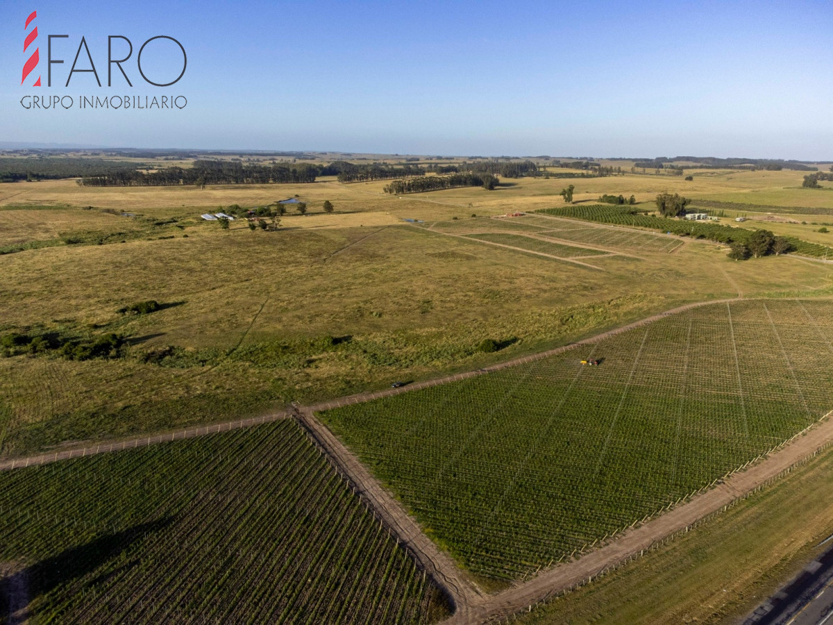 José Ignacio - GoPunta - Portal Inmobiliario de Punta del Este - Maldonado