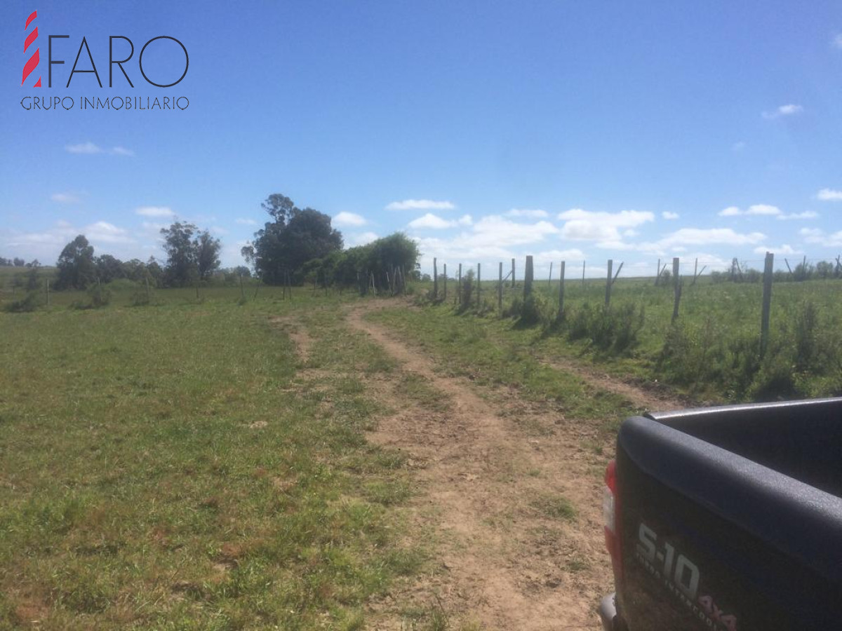Ruta 9 - GoPunta - Portal Inmobiliario de Punta del Este - Maldonado