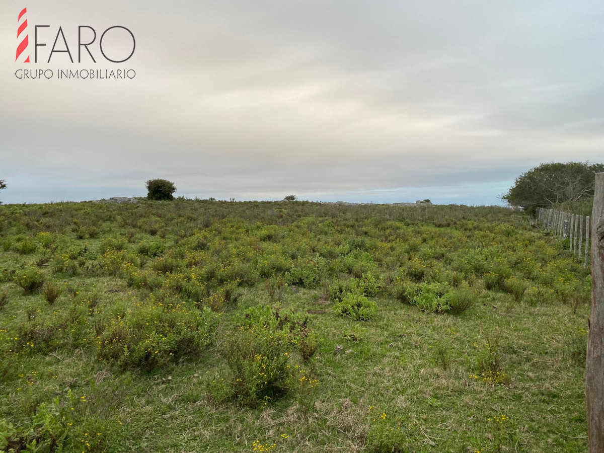 Sierra de los Caracoles - GoPunta - Portal Inmobiliario de Punta del Este - Maldonado