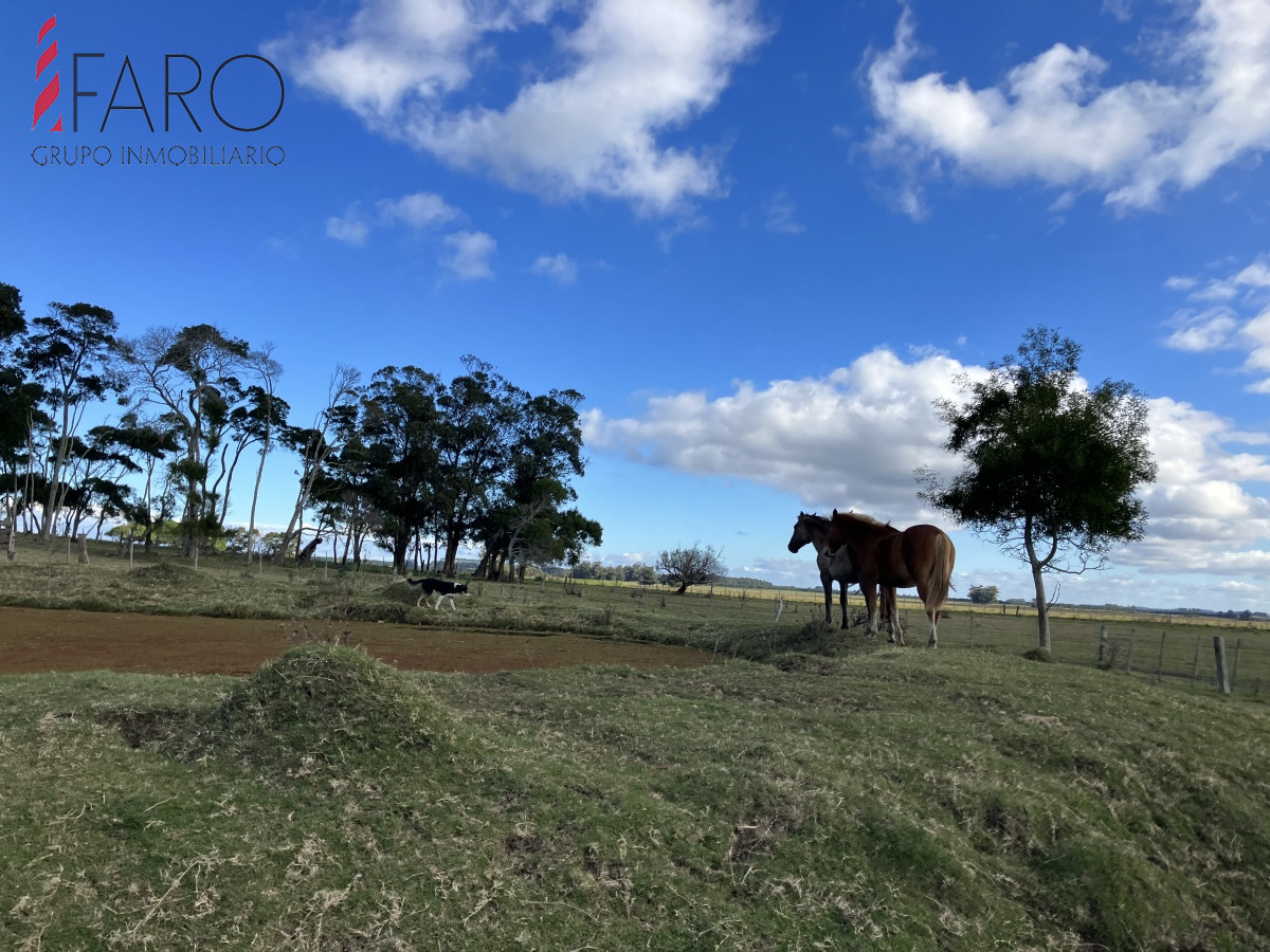 Campo en venta en Paraje Garzón.  - FAR41274H