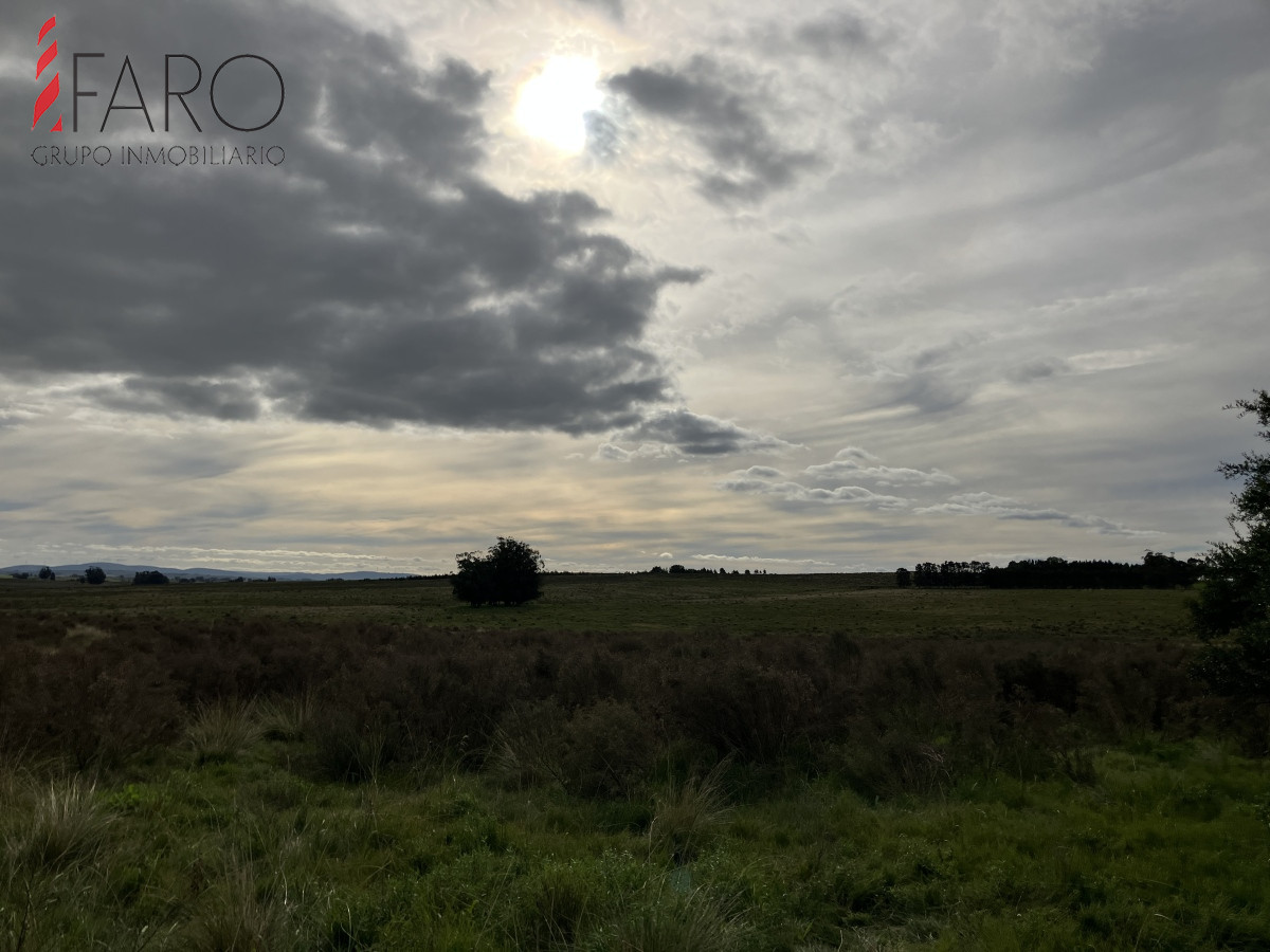 Chacra de 3 hectáreas en Paraje Carlos Carl. - GoPunta - Portal Inmobiliario de Punta del Este - Maldonado