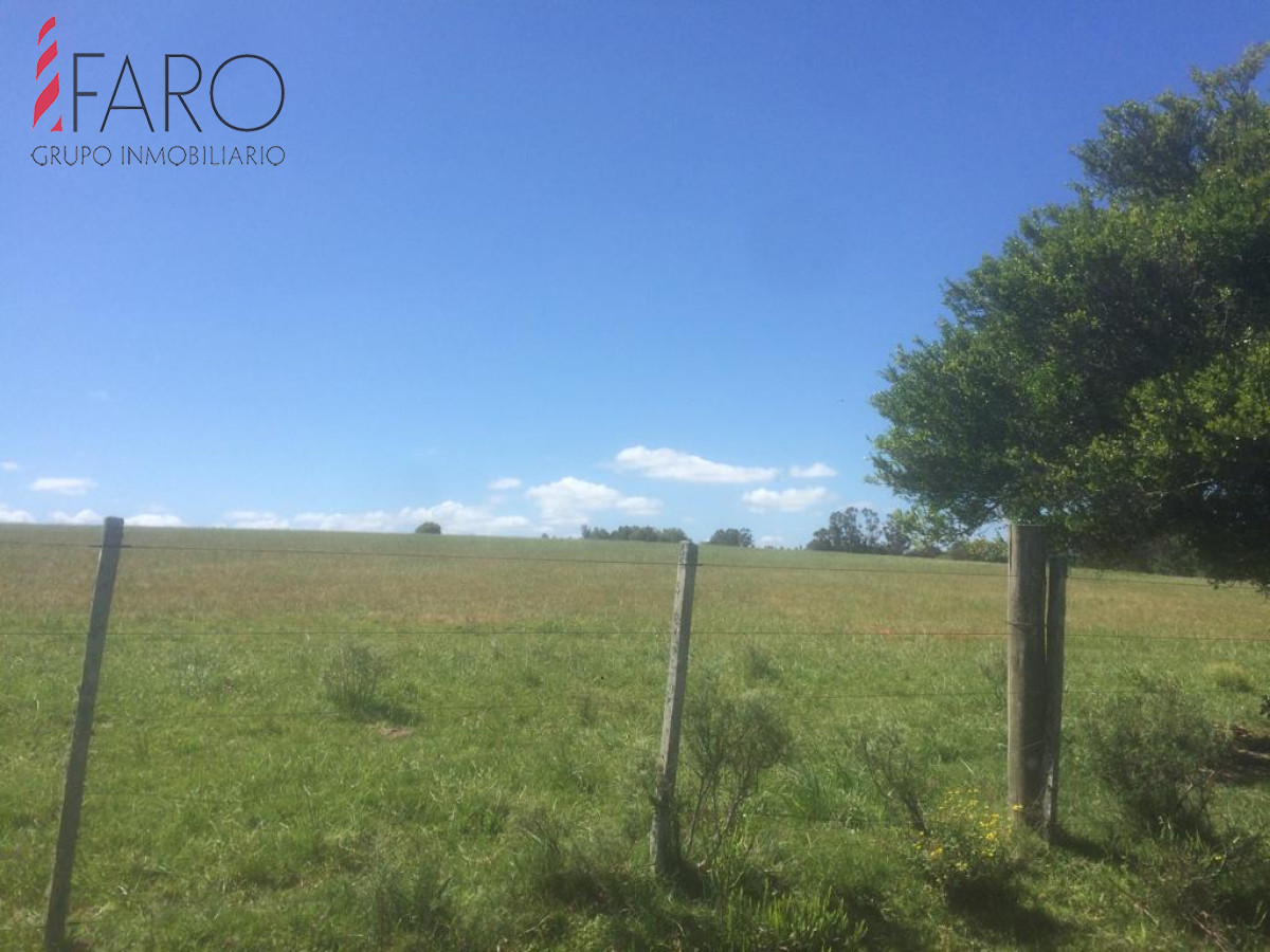 Ruta 9 - GoPunta - Portal Inmobiliario de Punta del Este - Maldonado
