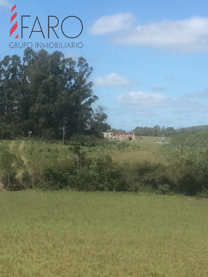 Ruta 9 - GoPunta - Portal Inmobiliario de Punta del Este - Maldonado