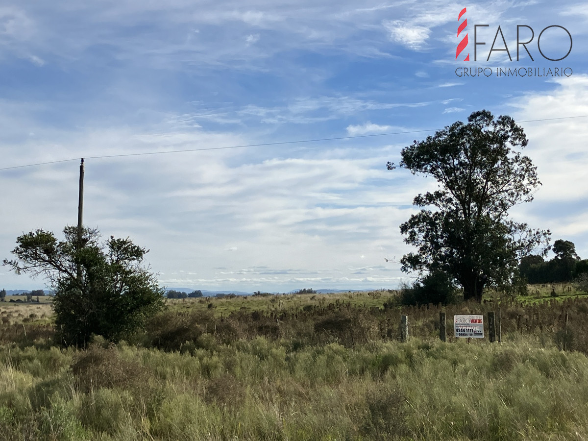 Chacra de 3 hectáreas en Paraje Carlos Carl. - GoPunta - Portal Inmobiliario de Punta del Este - Maldonado