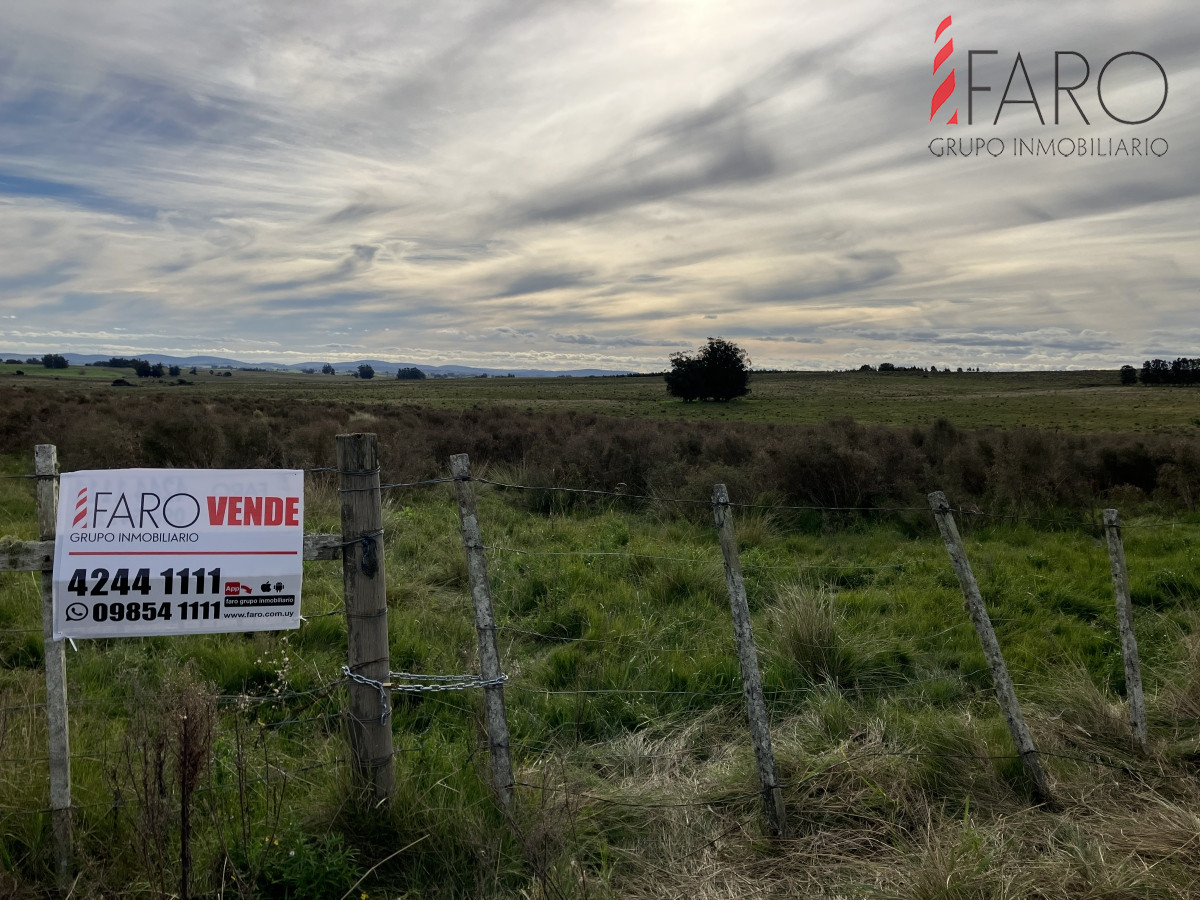 Chacra de 3 hectáreas en Paraje Carlos Carl. - GoPunta - Portal Inmobiliario de Punta del Este - Maldonado