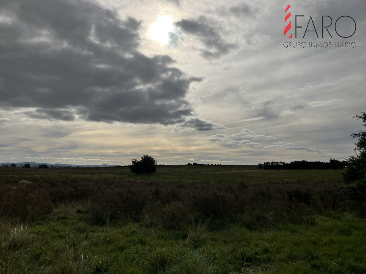 Chacra de 3 hectáreas en Paraje Carlos Carl. - GoPunta - Portal Inmobiliario de Punta del Este - Maldonado