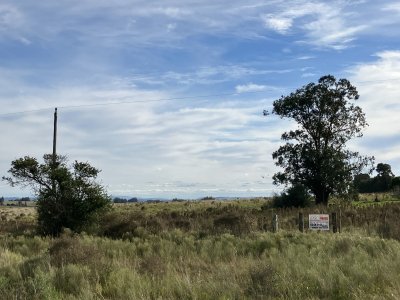 Chacra de 3 hectáreas en Paraje Carlos Carl.