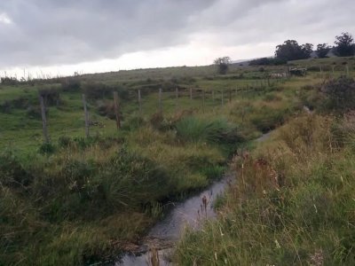 Chacra de 5.5 hectáreas en Venta muy cerca de Pueblo Edén