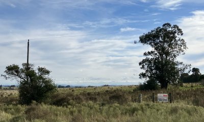 Chacra de 3 hectáreas en Paraje Carlos Carl.