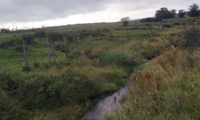 Chacra de 5.5 hectáreas en Venta muy cerca de Pueblo Edén
