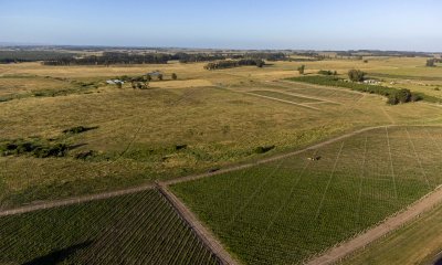 Chacras a minutos de José Ignacio con vistas a viñedos