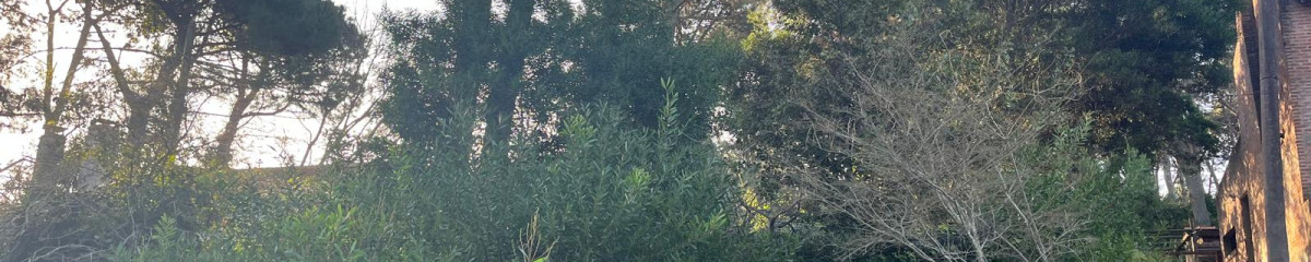 Lindo lote en venta en Pinares.