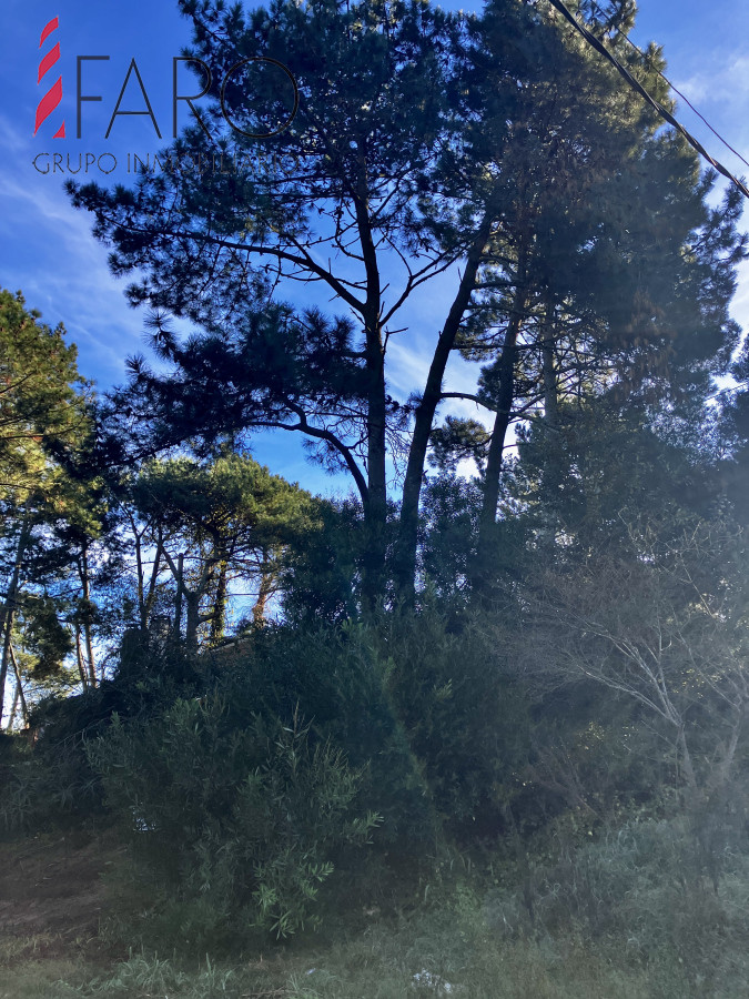 Pinares - GoPunta - Portal Inmobiliario de Punta del Este - Maldonado